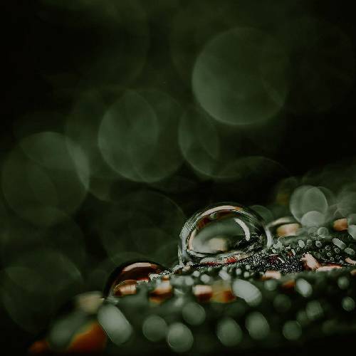  همه ی دارو دستم بیست و چاری بارو بستن میگیرم من کارو دستم